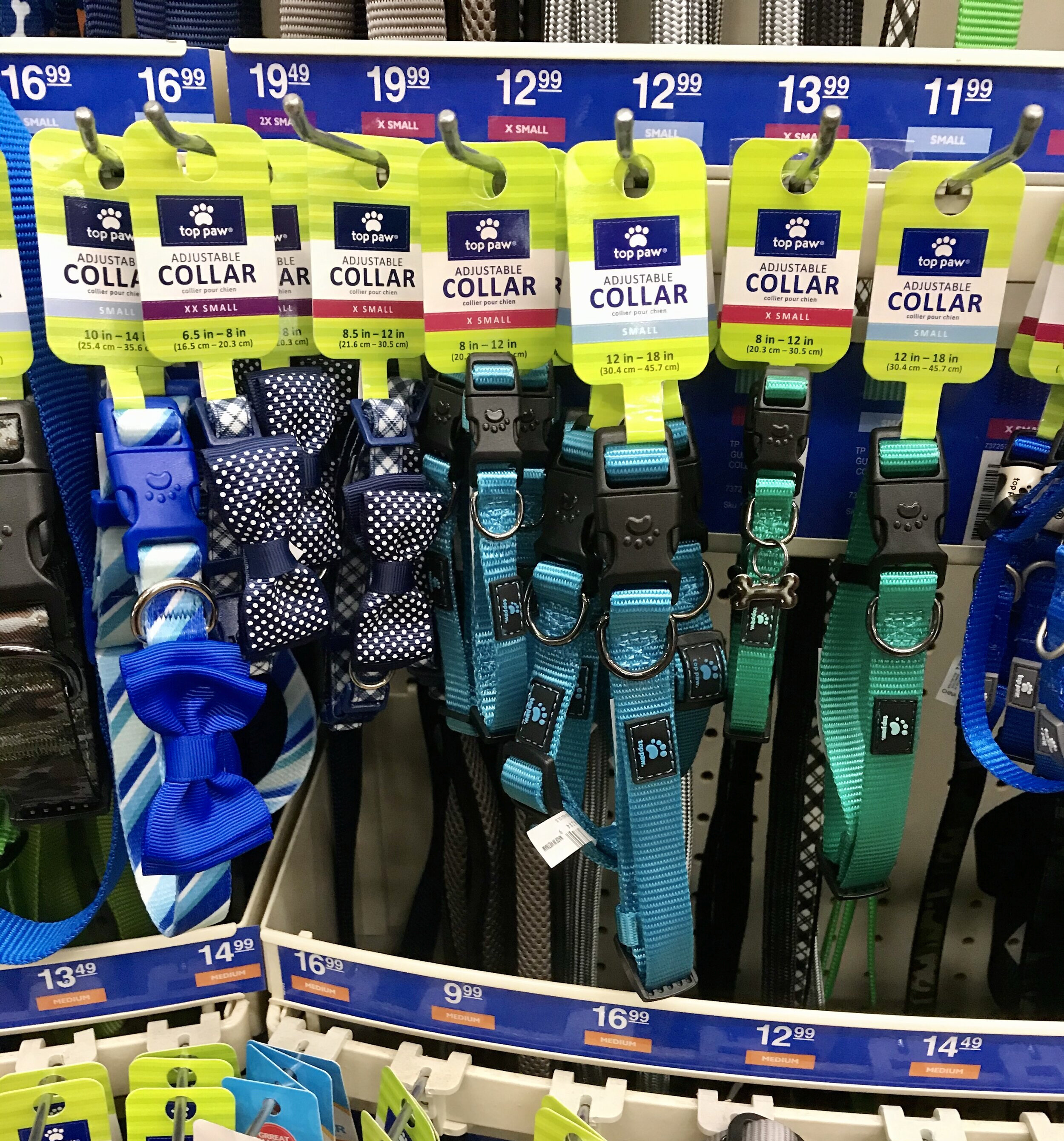 Puppy Prep Collar Size for a Toy Aussie Toy Australian Shepherds Toy Aussie Info